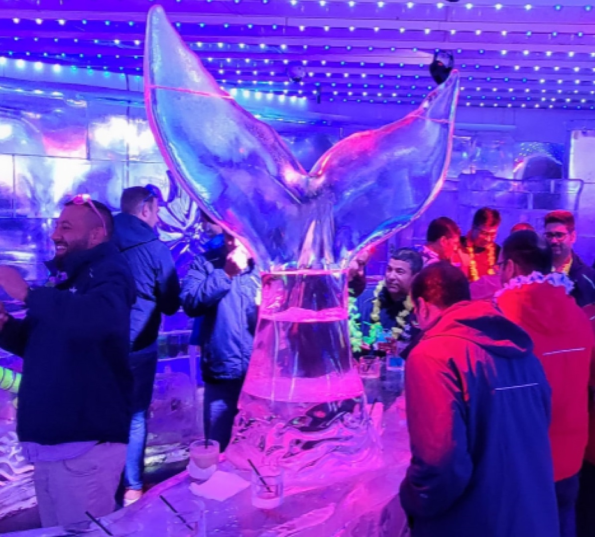 Ice Bar Event, conference after-party, Orlando