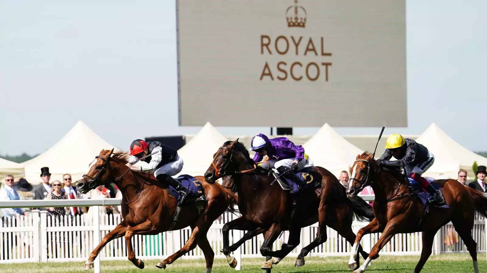 Luxury VIP hospitality packages at the world's best sporting events 